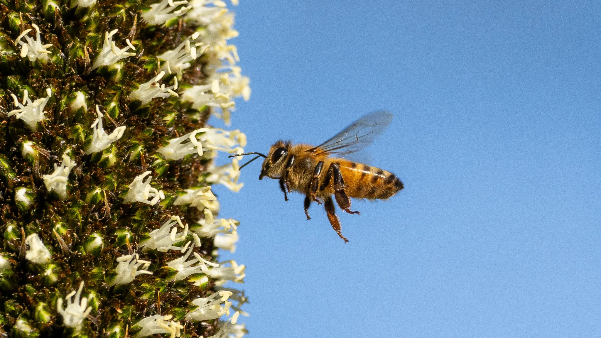 Other photograph by Andrew Bloyce