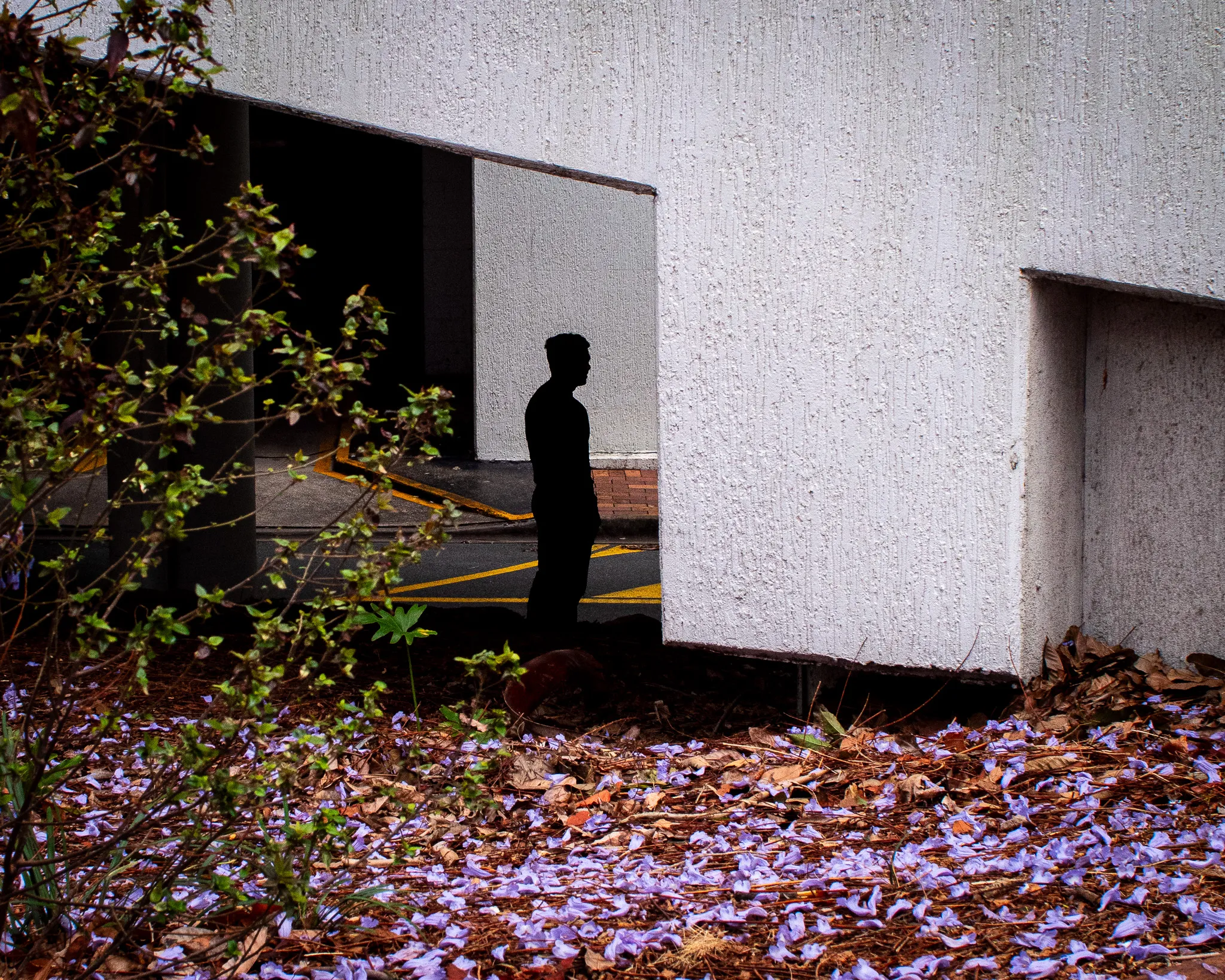 Street — from City Silhouettes, a street series by Andrew Bloyce